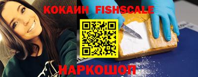 дмт Славгород