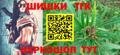 дмт Славгород