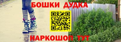 хмурый Сланцы