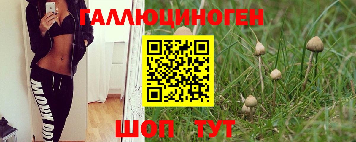 Отрадное  продажа наркотиков  Вход с VPN  Псилоцибиновые грибы Psilocybine cubensis 