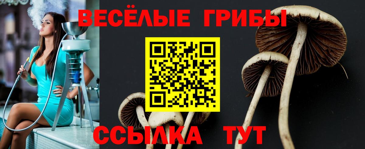 Галлюциногенные грибы мухоморы Отрадное